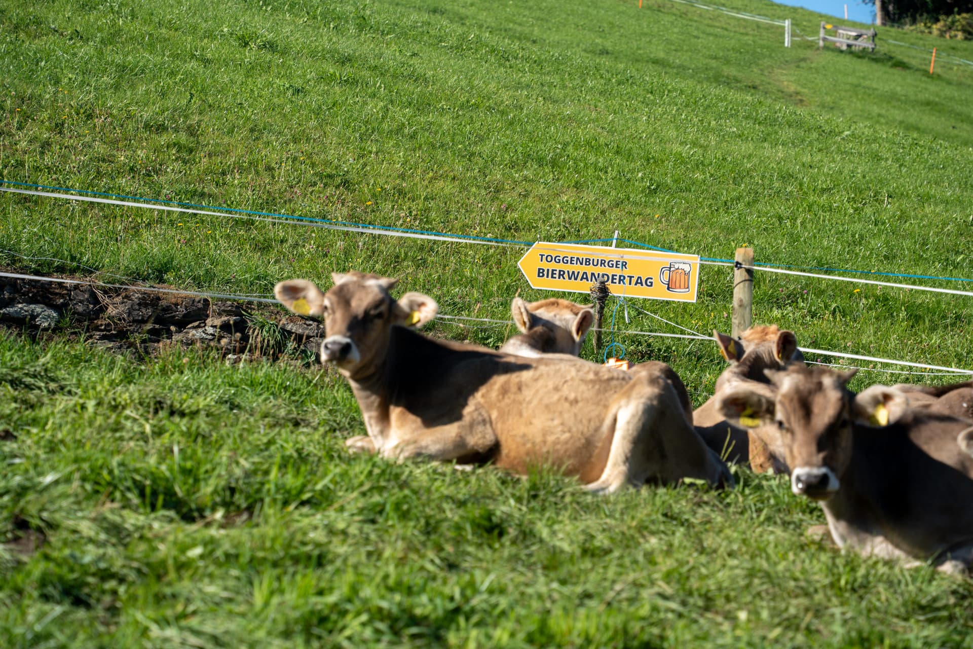 11. Toggenburger Bierwandertag