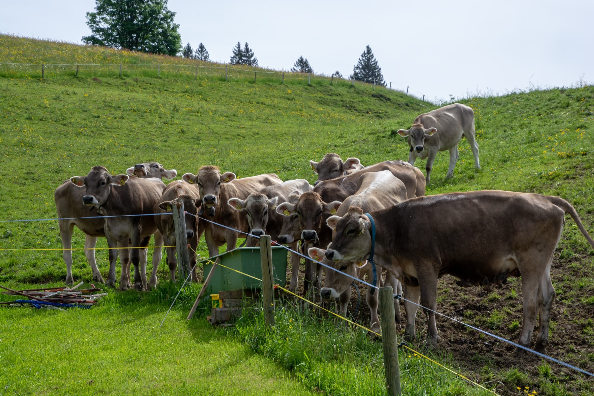 1. Toggenburger Bierwandertag