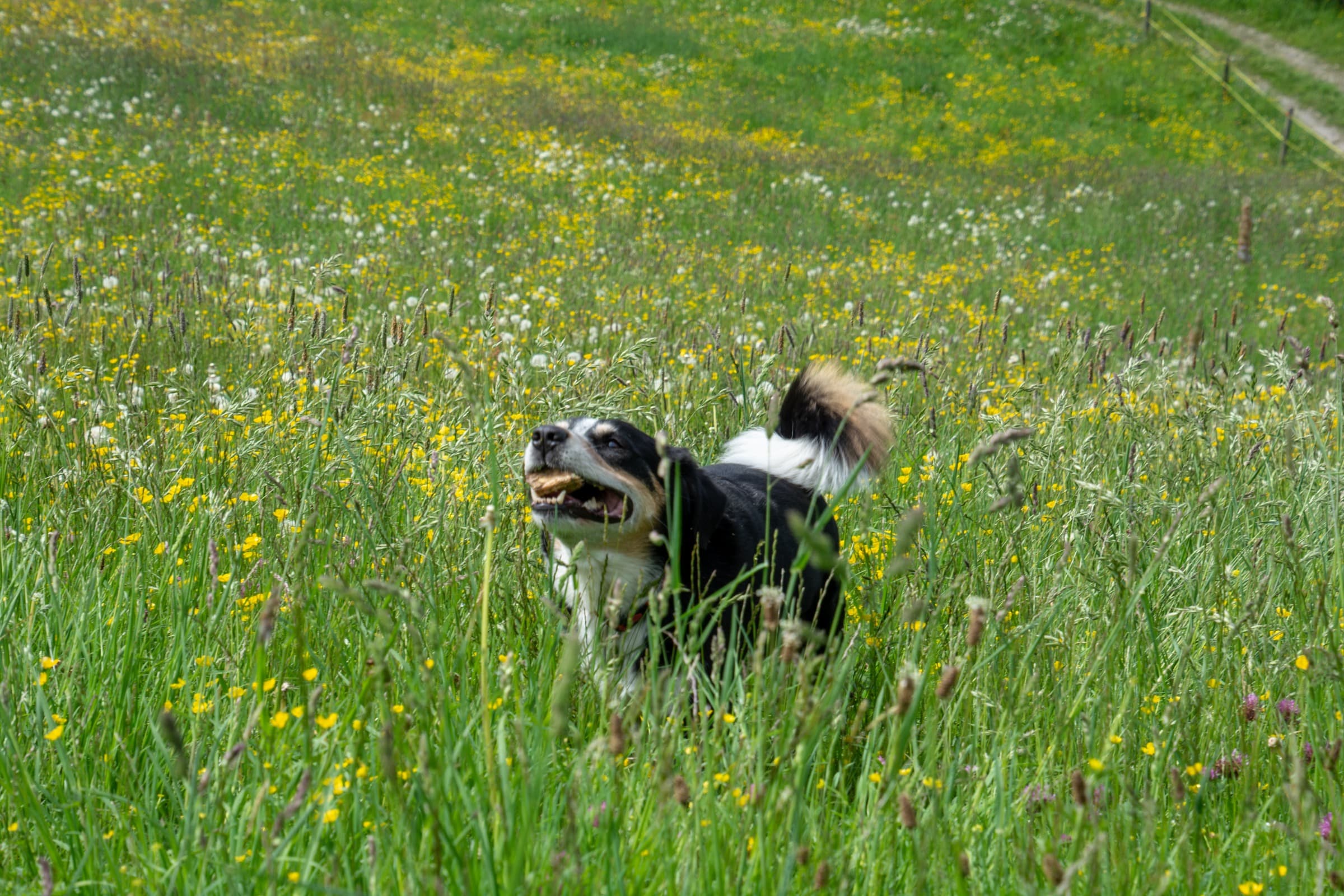 1. Toggenburger Bierwandertag