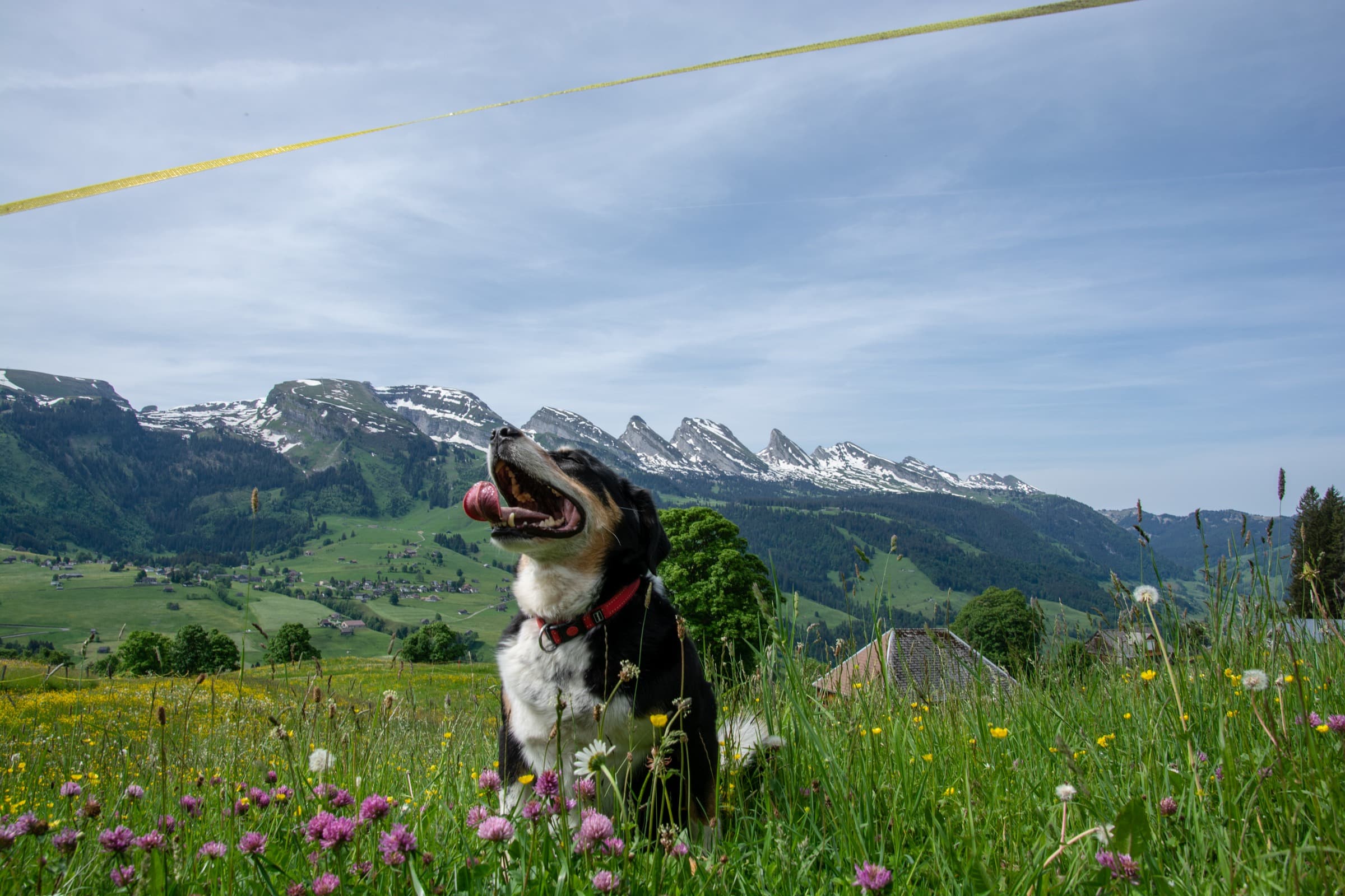 1. Toggenburger Bierwandertag