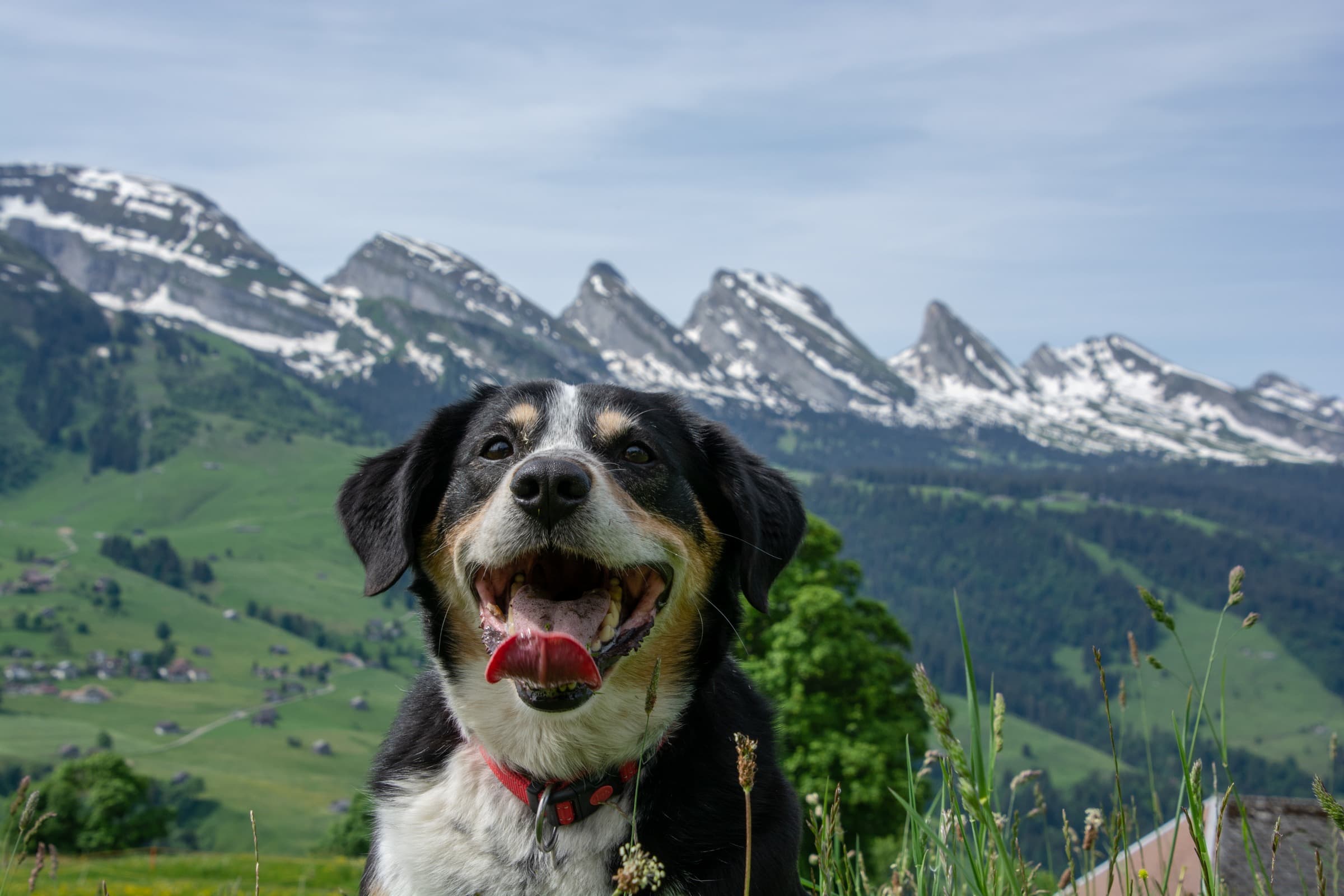 1. Toggenburger Bierwandertag