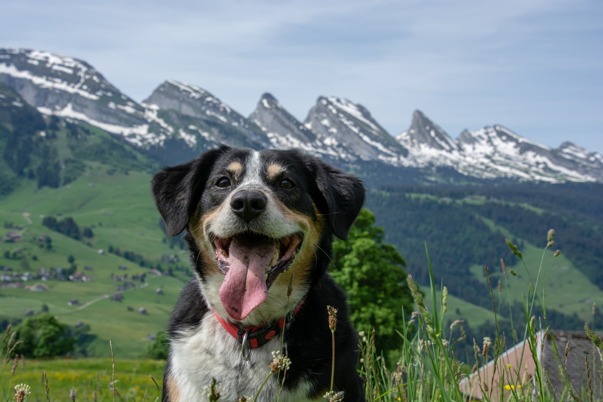 1. Toggenburger Bierwandertag