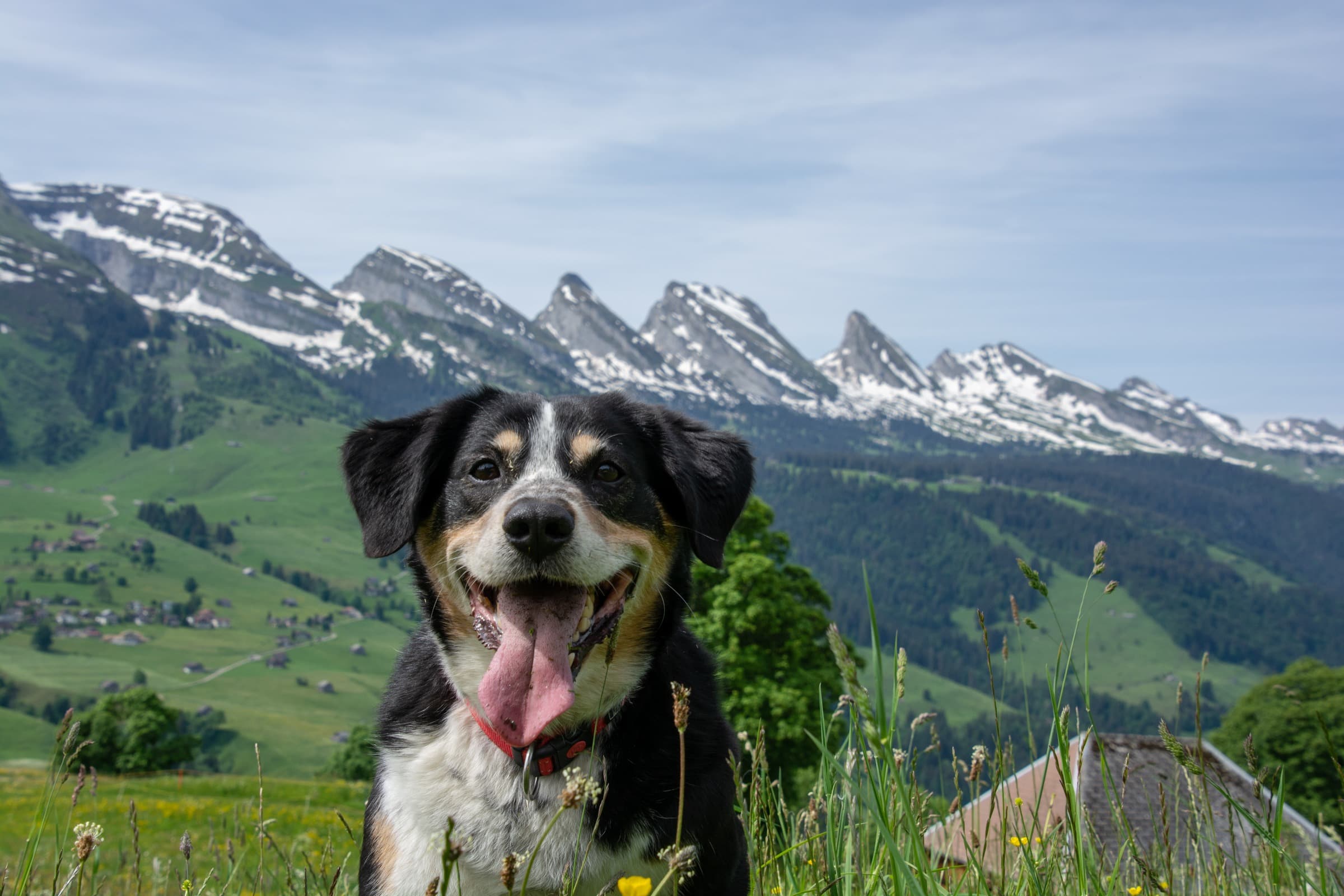 1. Toggenburger Bierwandertag
