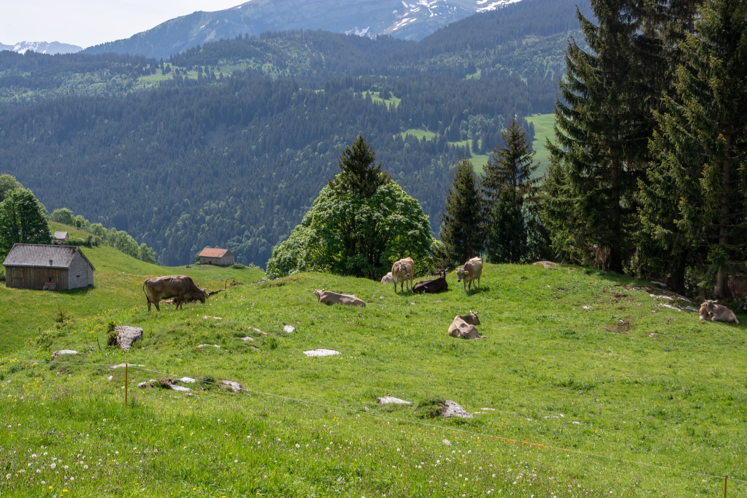 1. Toggenburger Bierwandertag