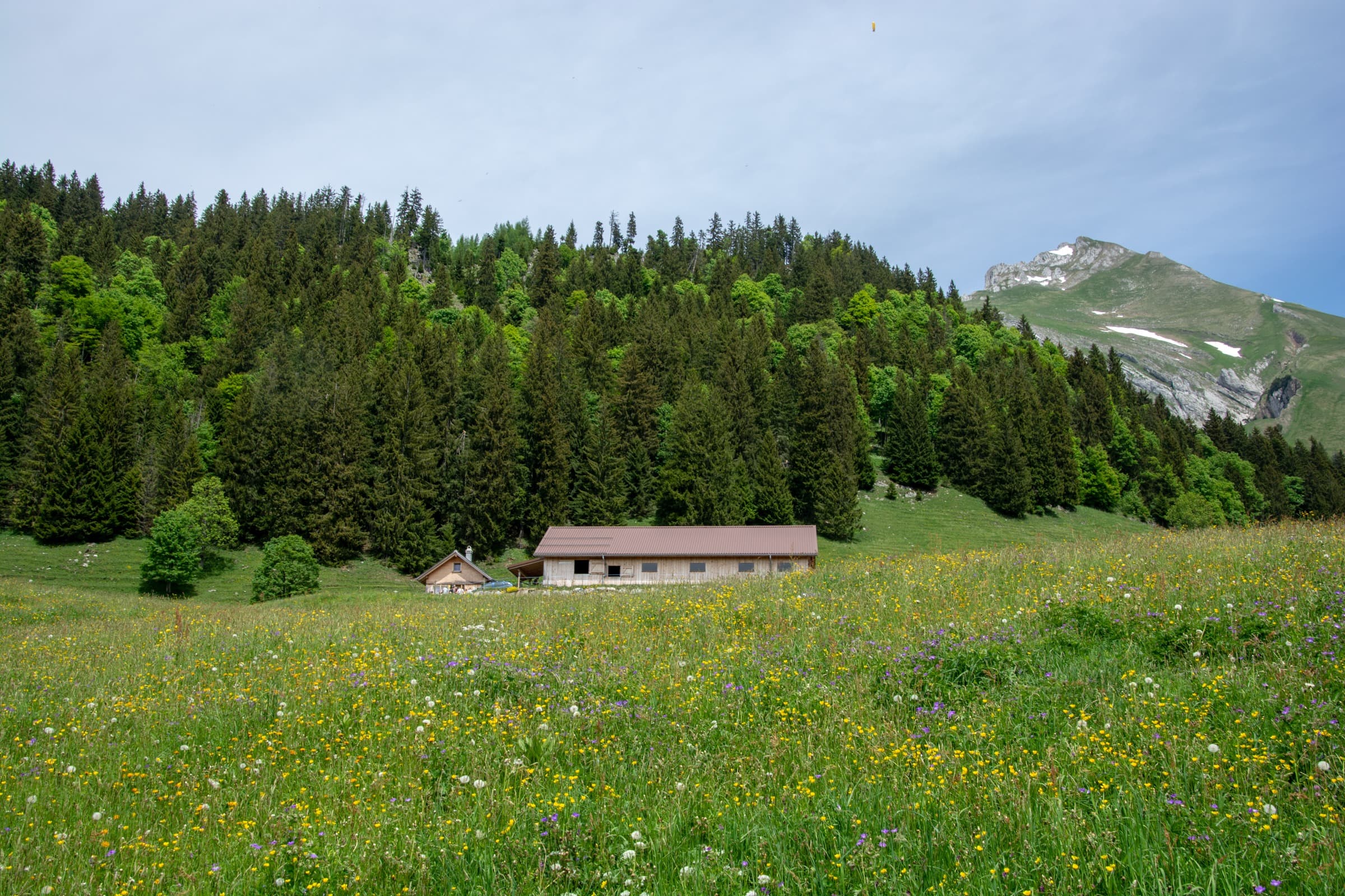 1. Toggenburger Bierwandertag
