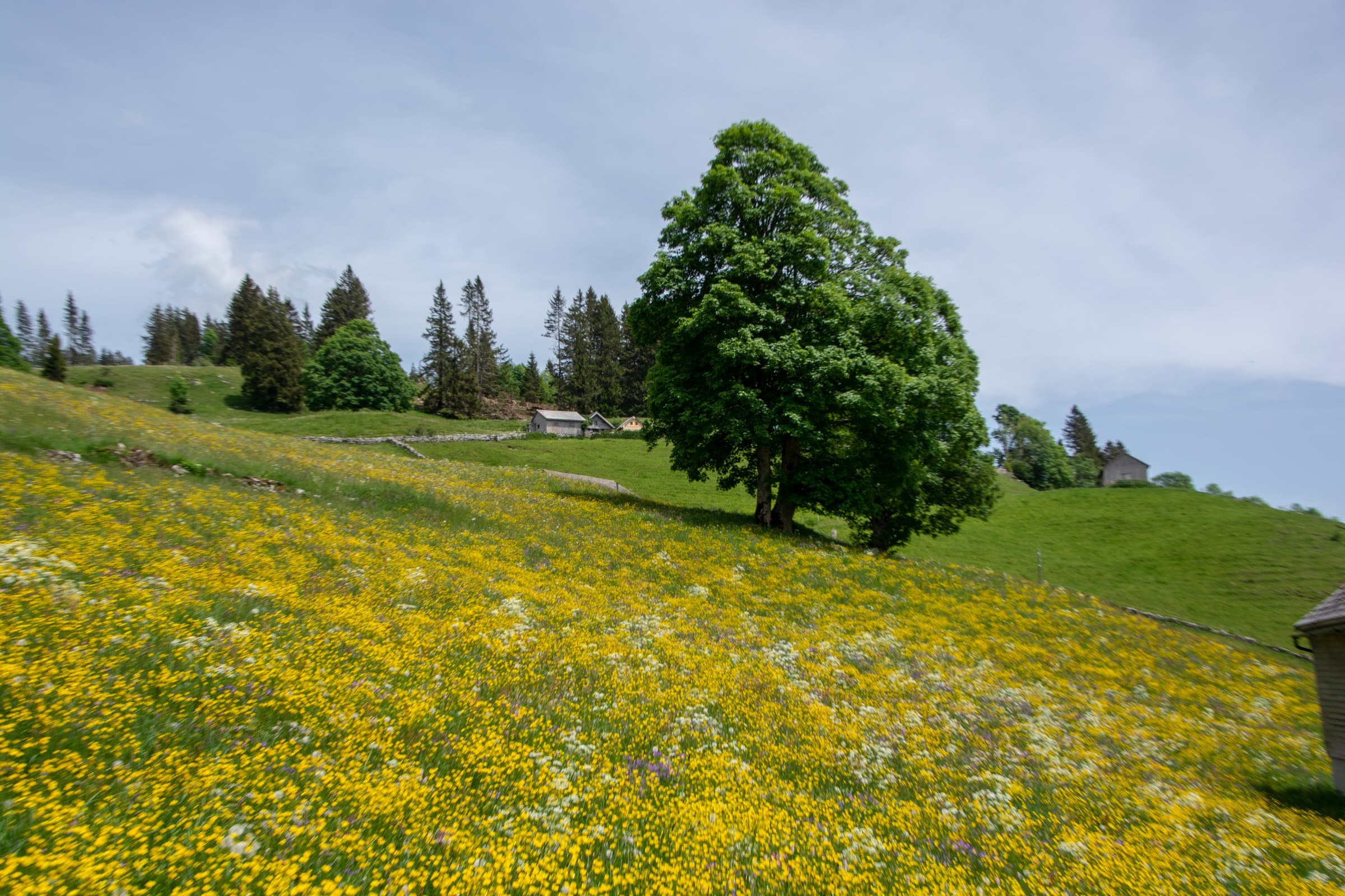 1. Toggenburger Bierwandertag