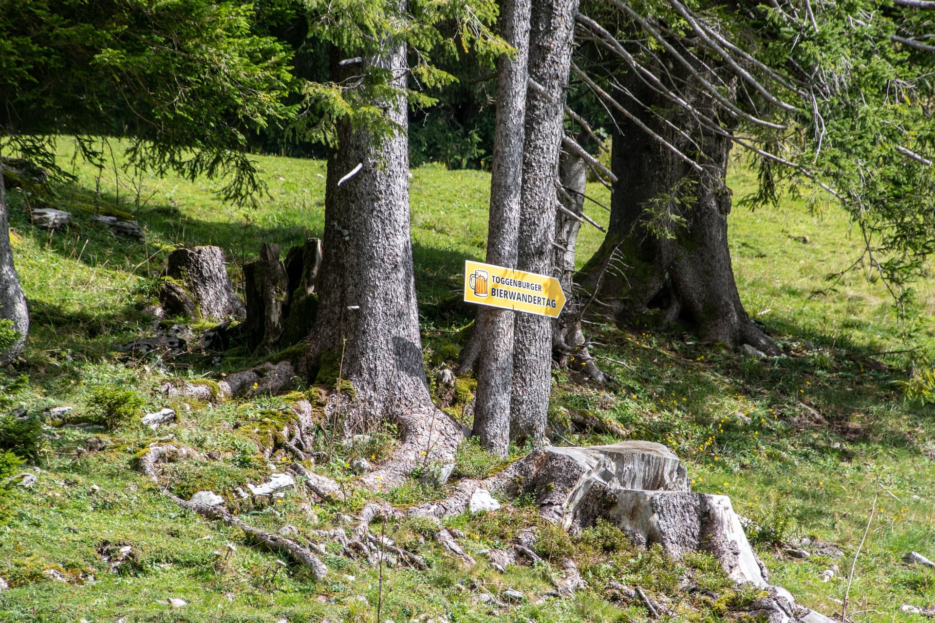 4. Toggenburger Bierwandertag