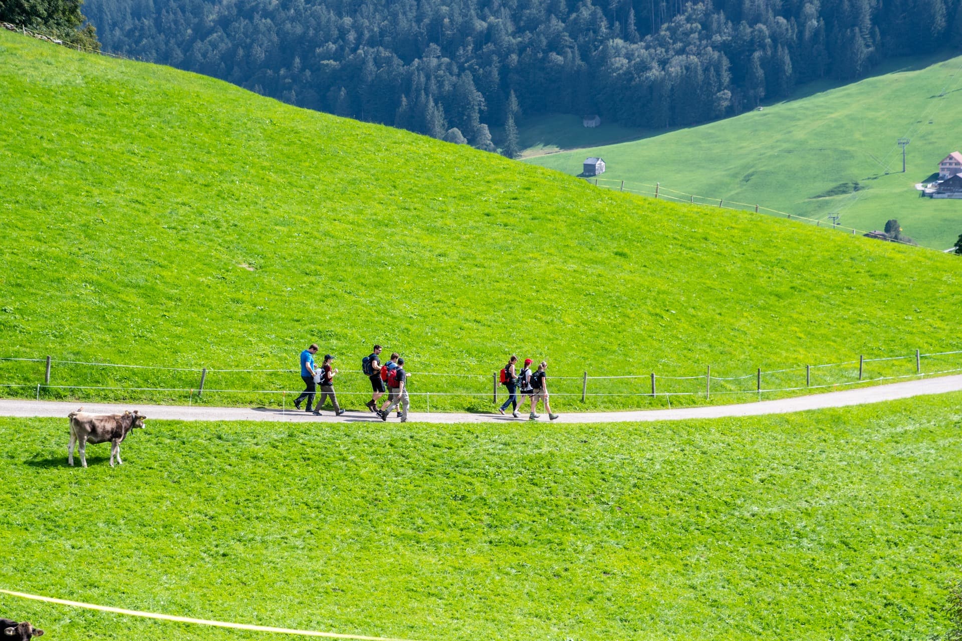 4. Toggenburger Bierwandertag