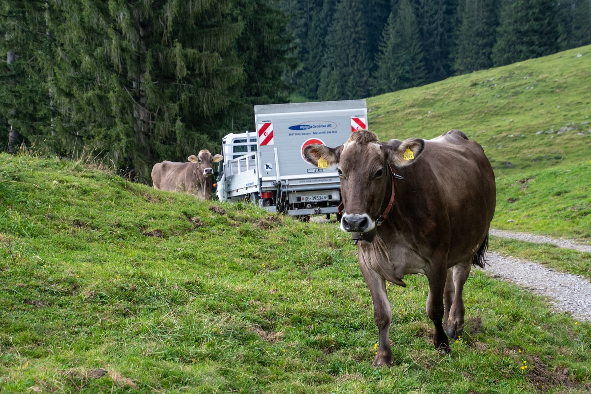 4. Toggenburger Bierwandertag
