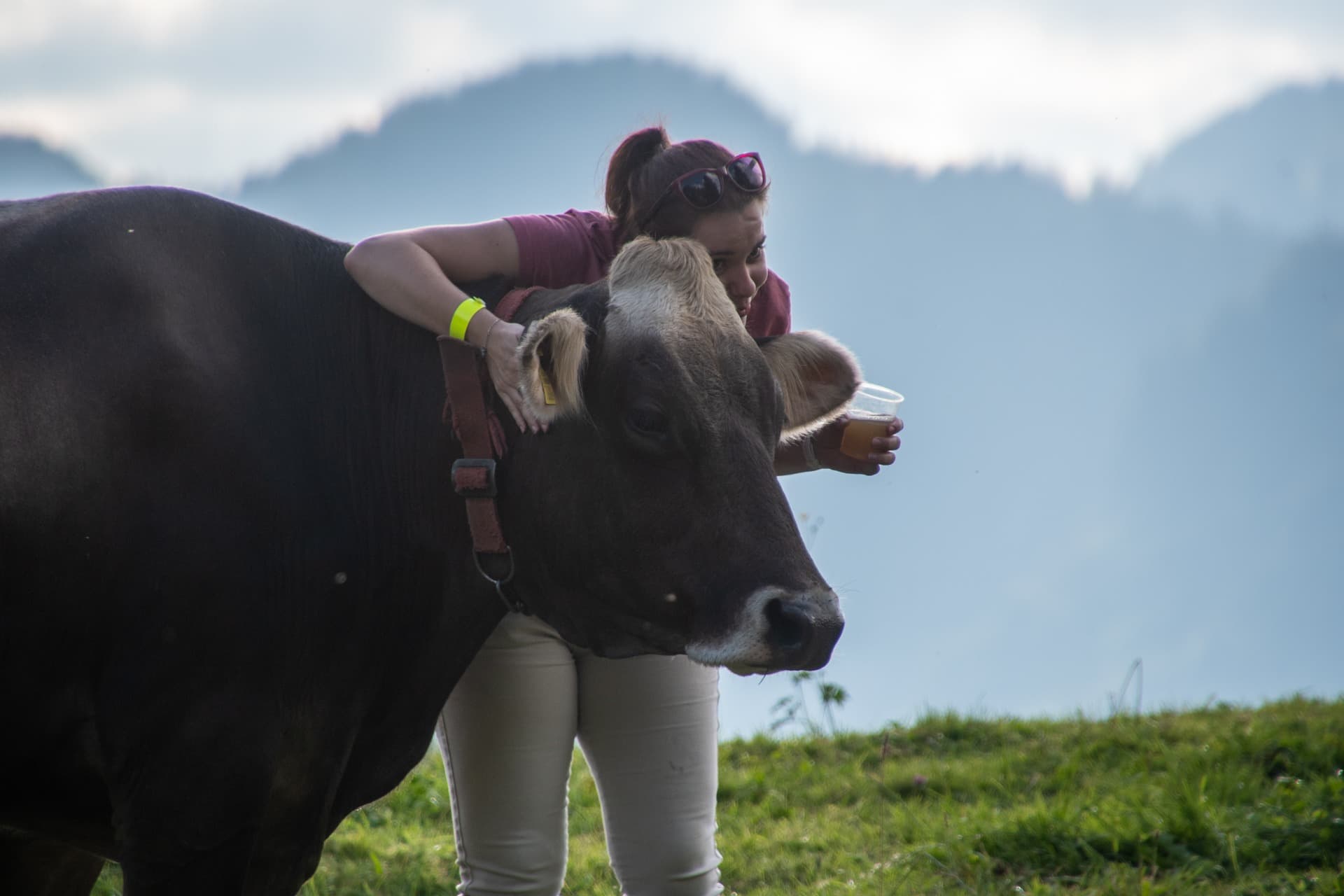 4. Toggenburger Bierwandertag