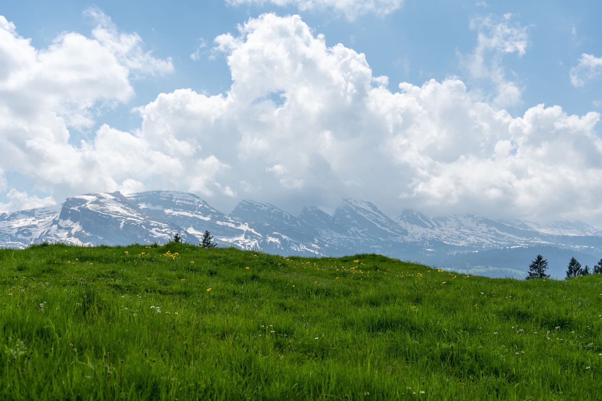 5. Toggenburger Bierwandertag