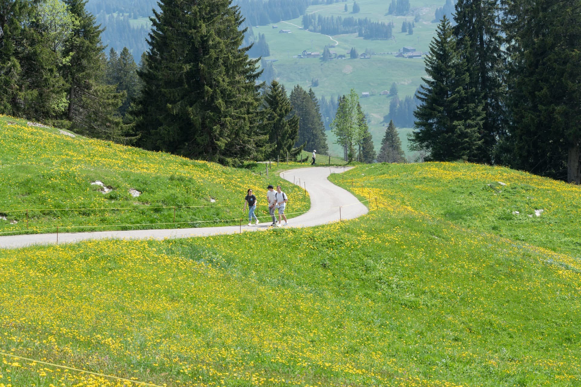 5. Toggenburger Bierwandertag