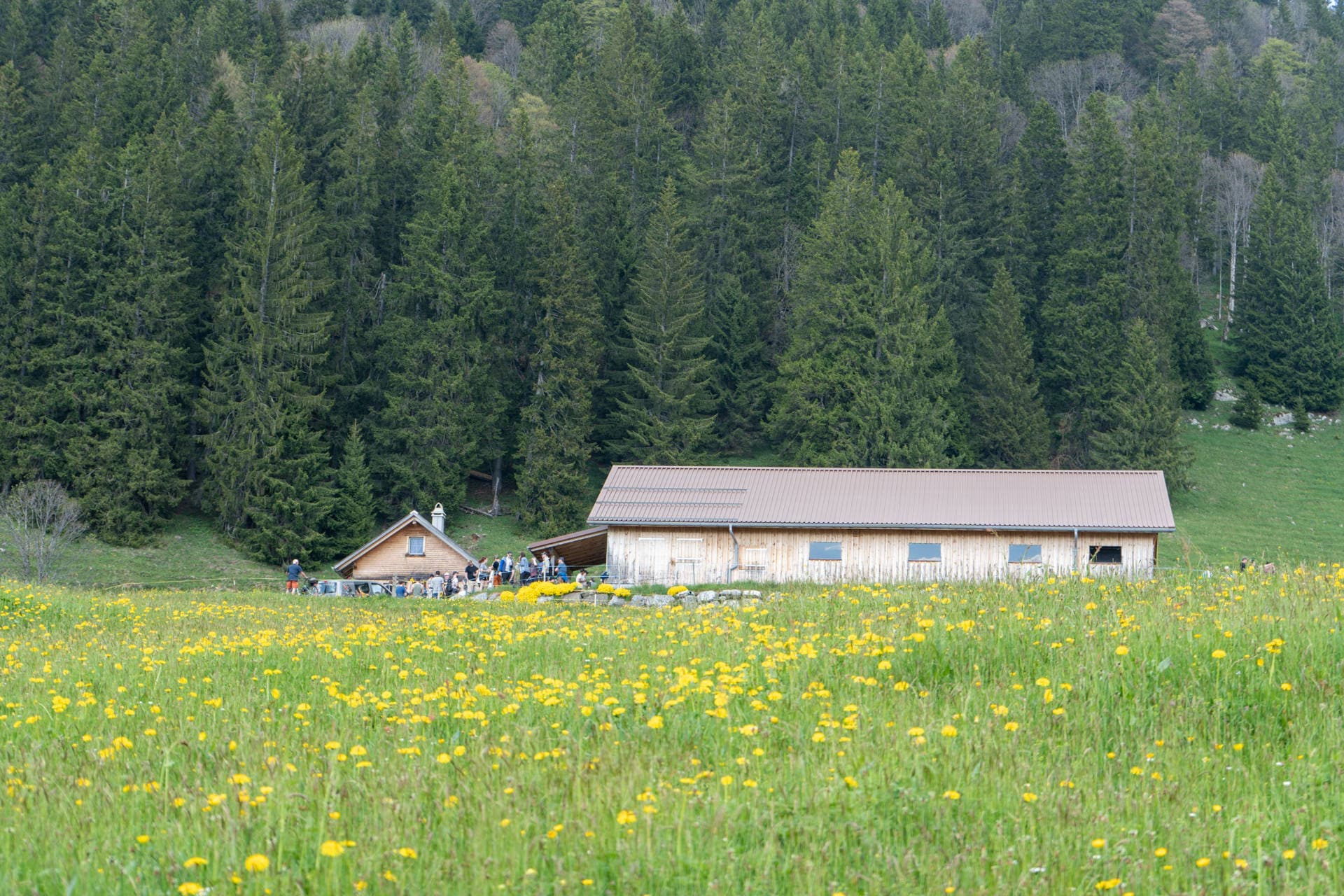 5. Toggenburger Bierwandertag