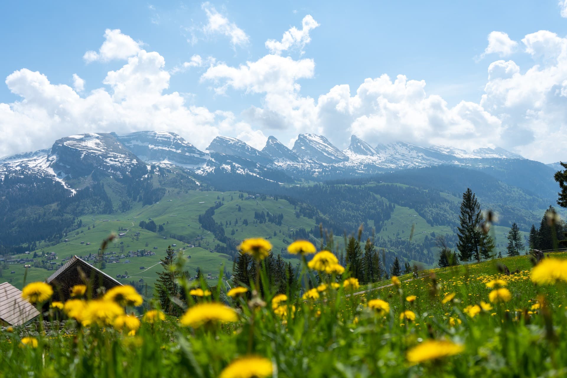 5. Toggenburger Bierwandertag
