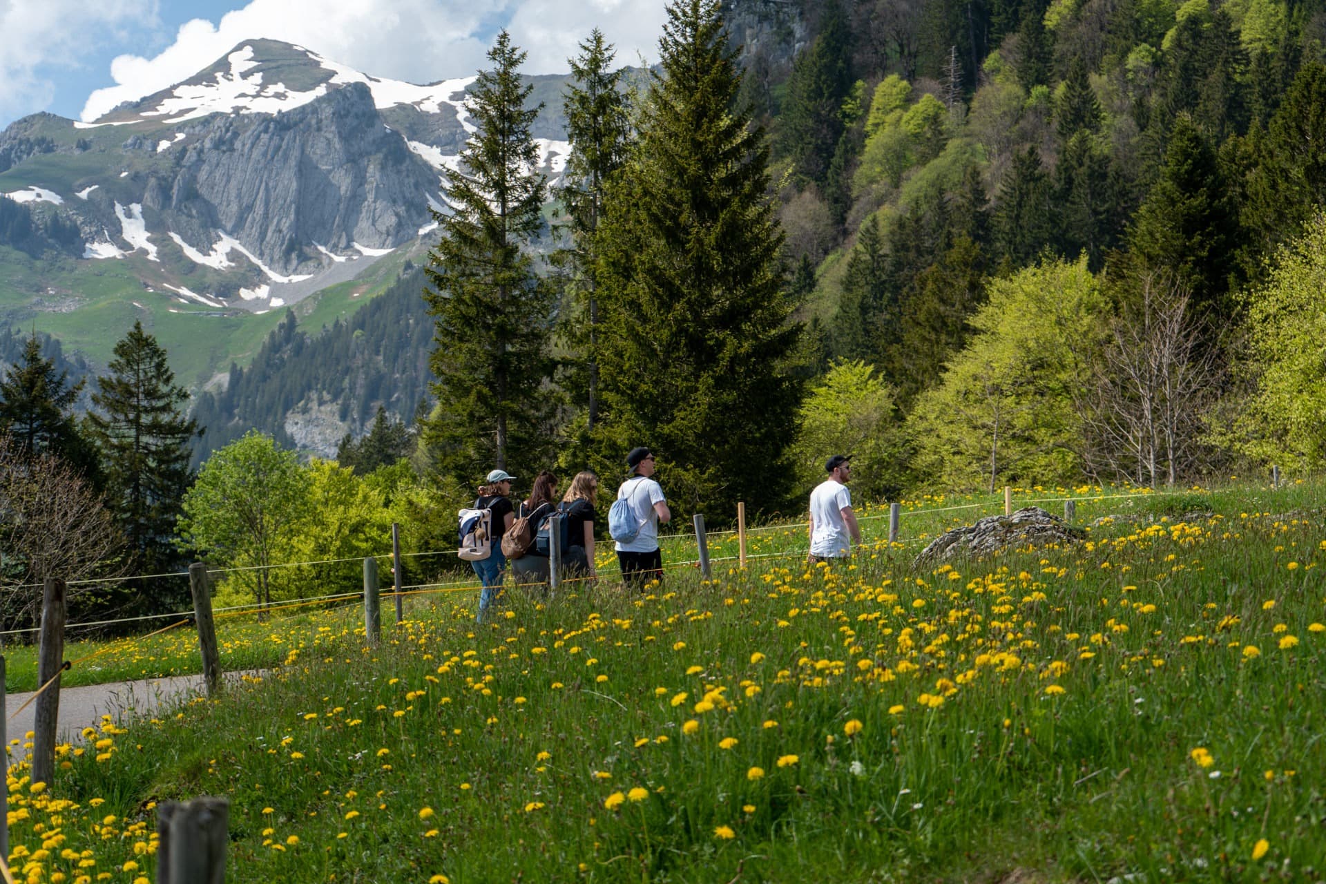 5. Toggenburger Bierwandertag
