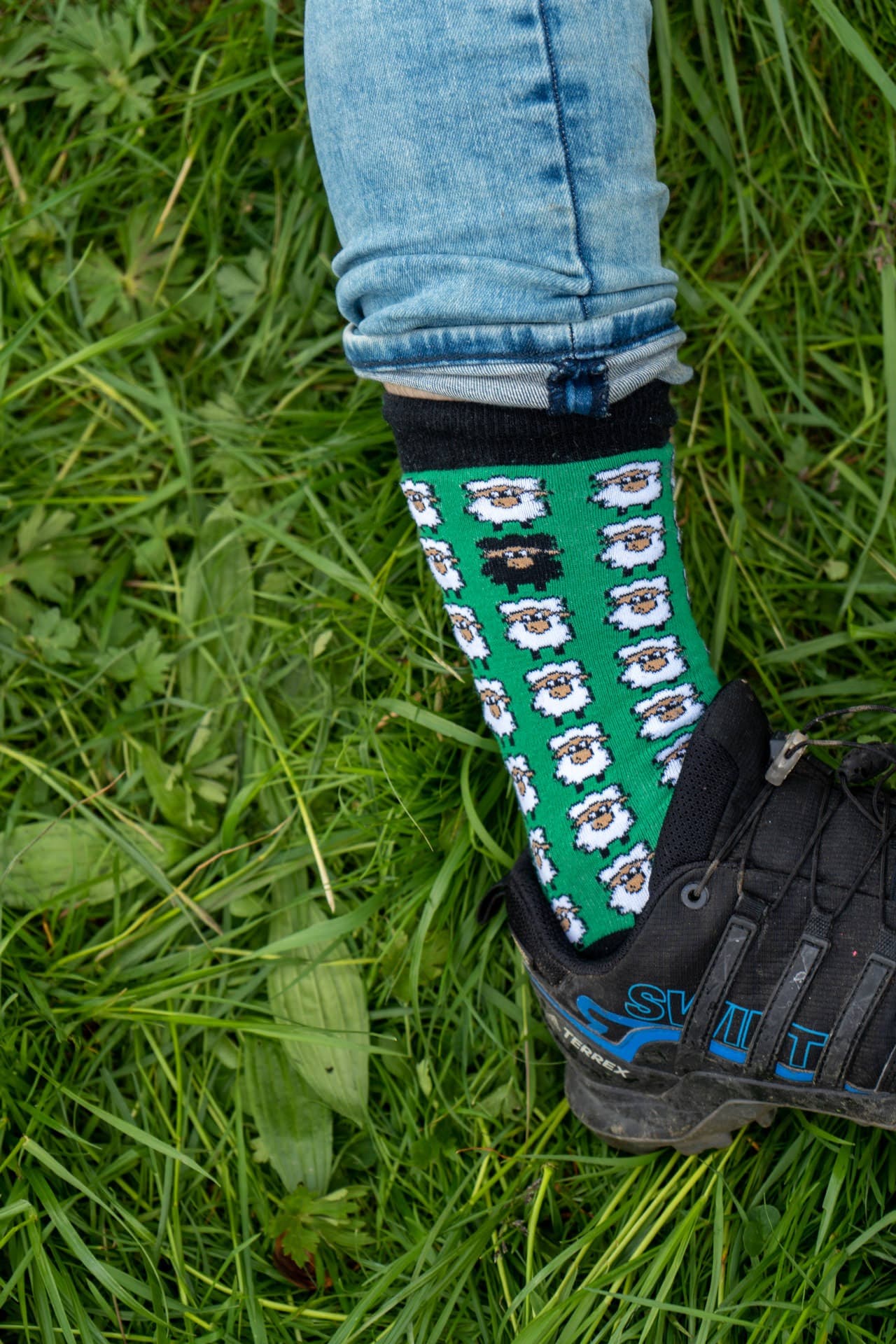 5. Toggenburger Bierwandertag