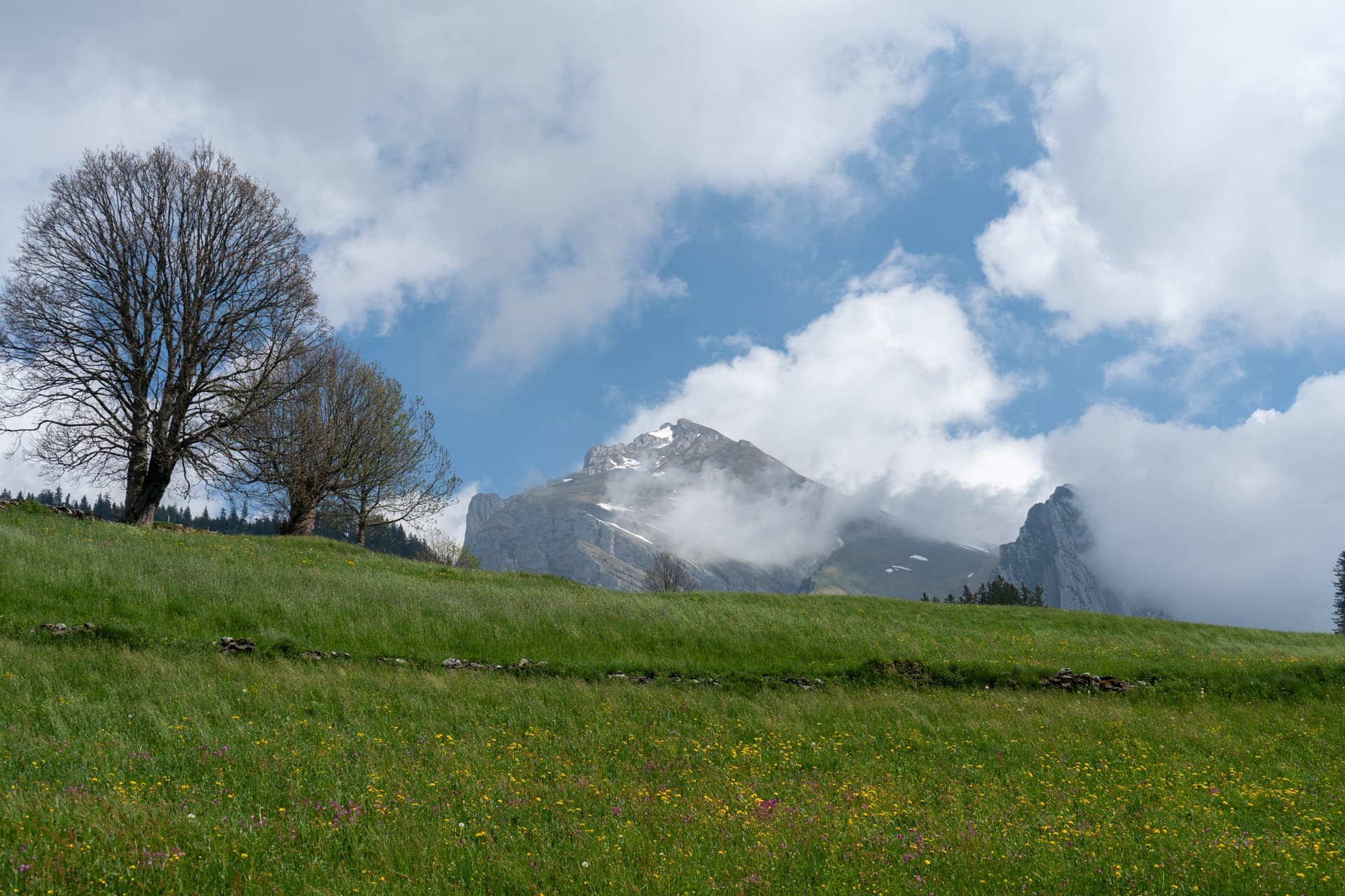 5. Toggenburger Bierwandertag