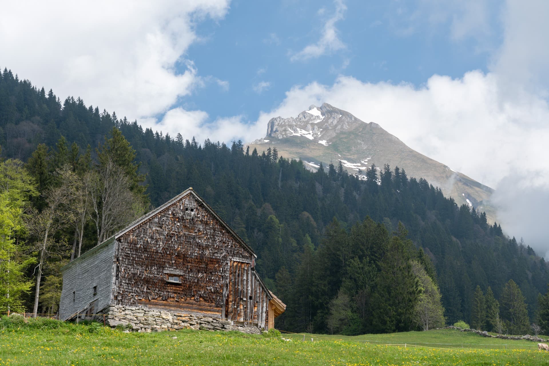 5. Toggenburger Bierwandertag