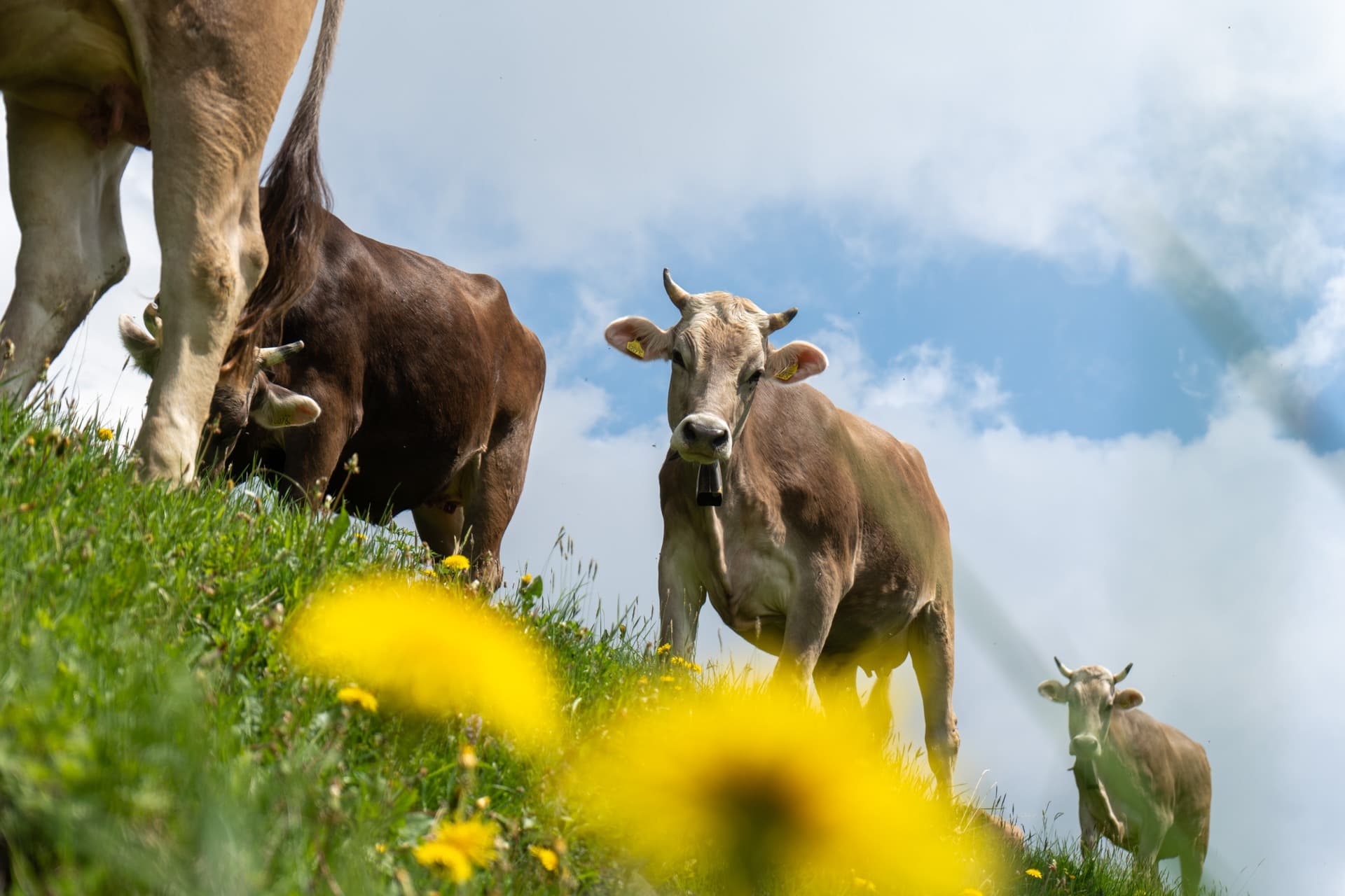 5. Toggenburger Bierwandertag