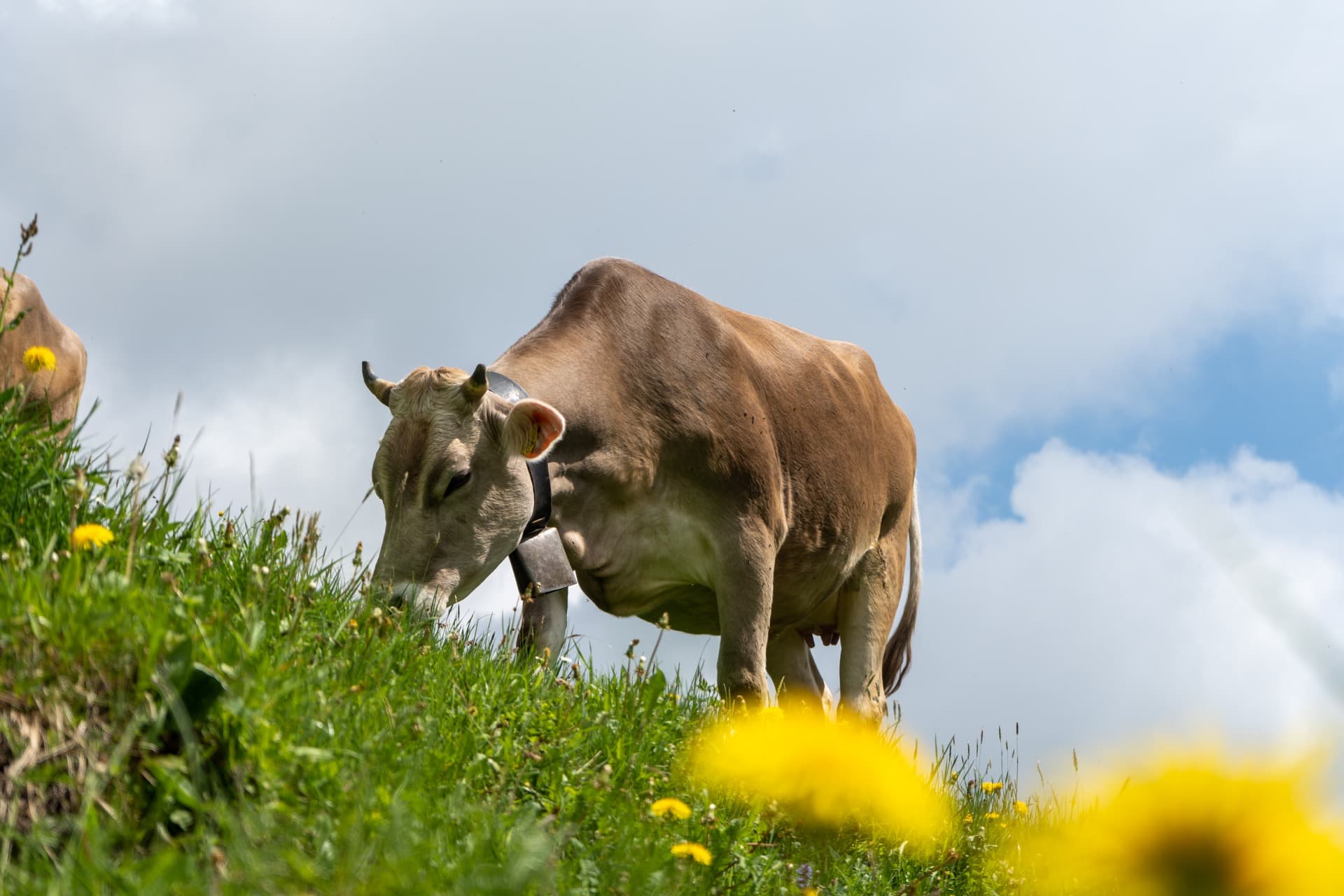 5. Toggenburger Bierwandertag