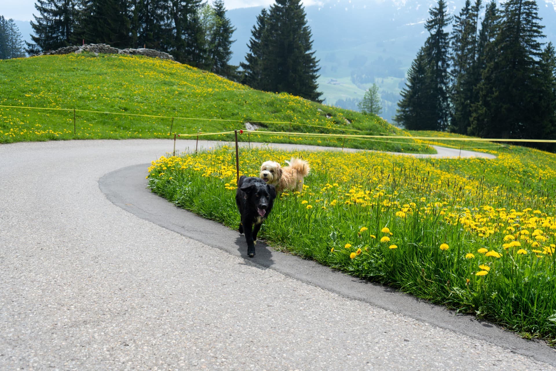 5. Toggenburger Bierwandertag