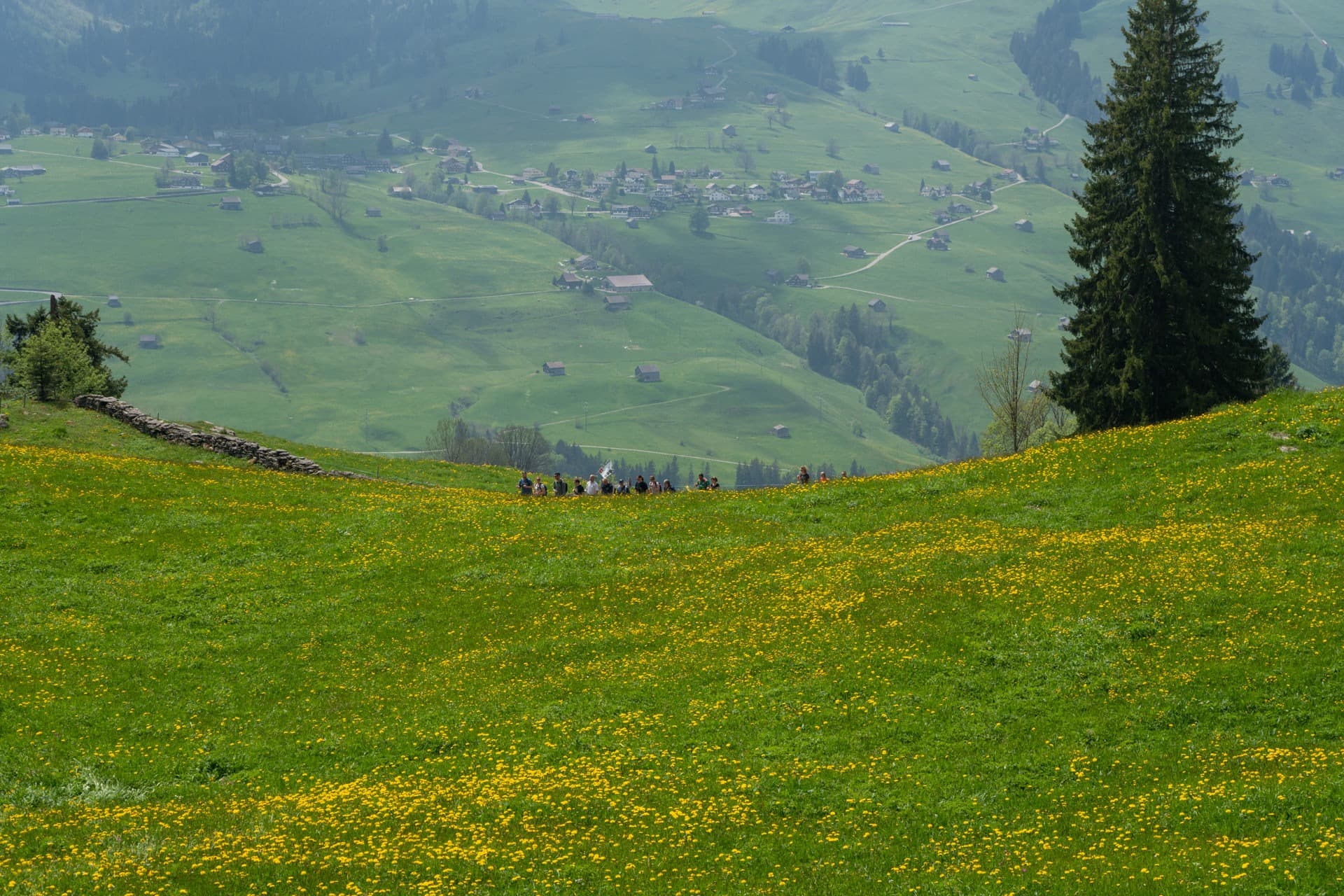 5. Toggenburger Bierwandertag