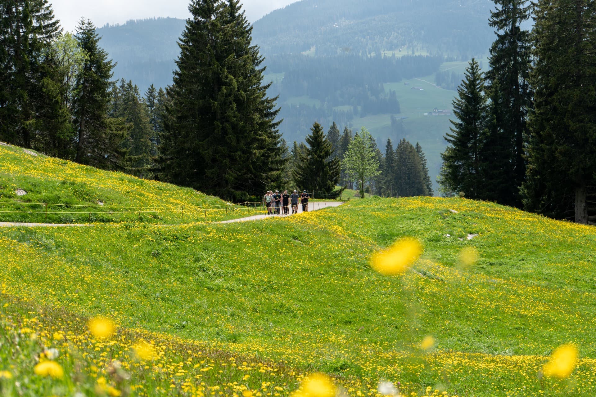 5. Toggenburger Bierwandertag