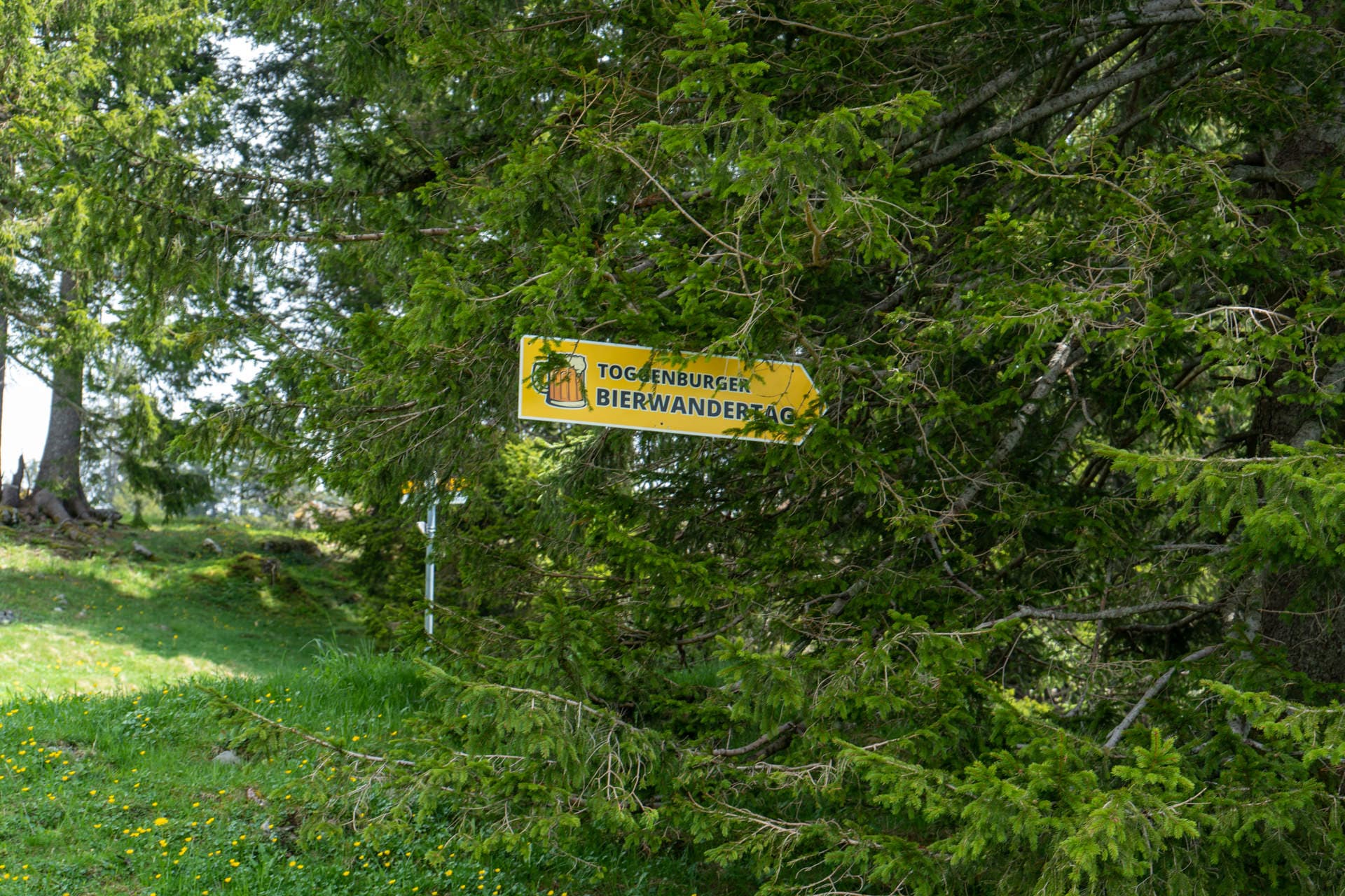 5. Toggenburger Bierwandertag