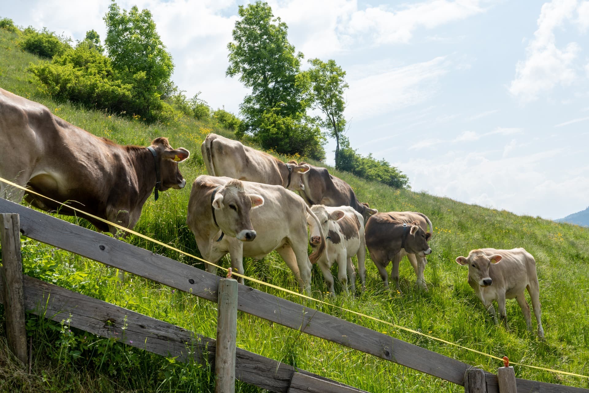 6. Toggenburger Bierwandertag