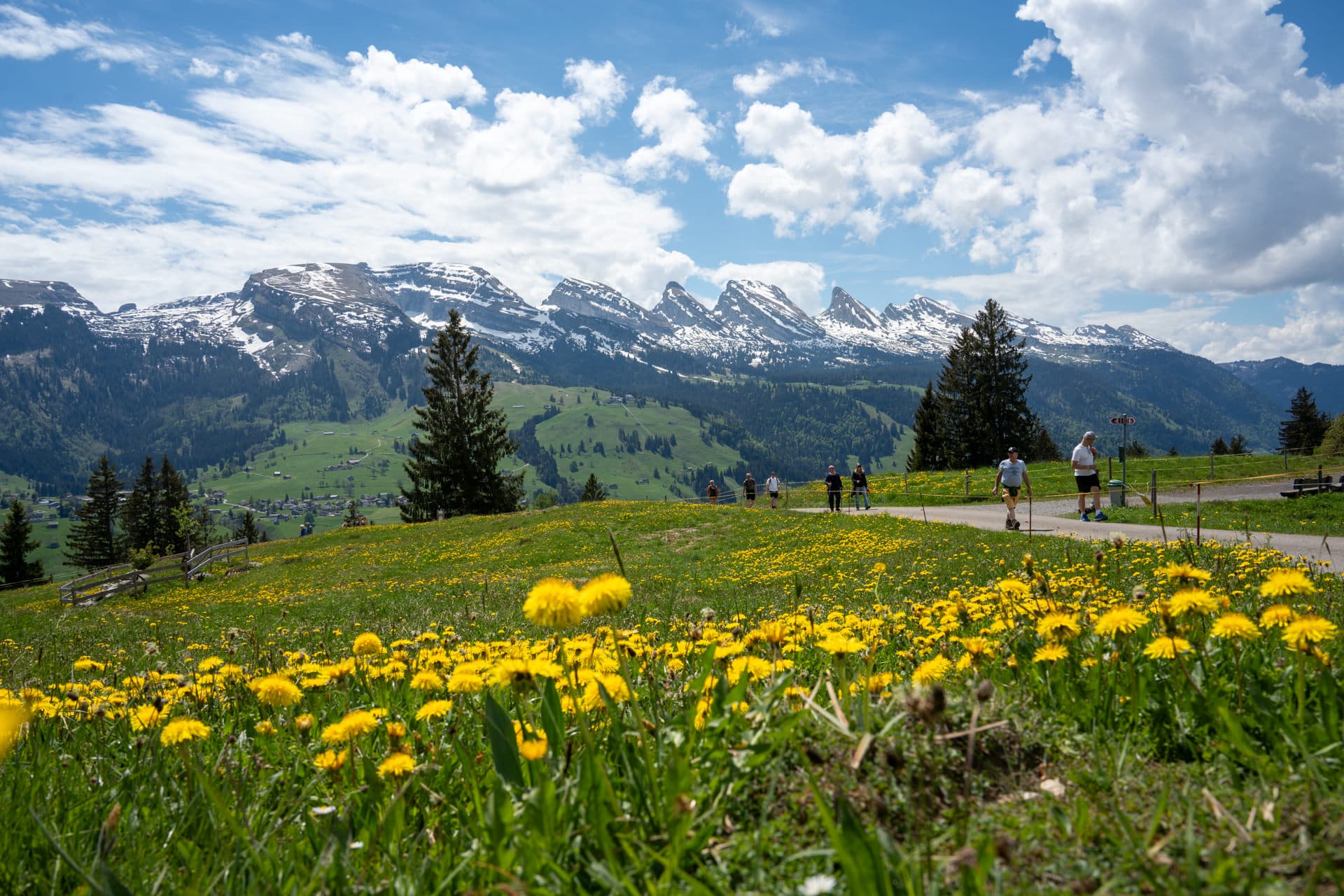 Impression Frühling 2026 1 – Toggenburger Bierwandertag
